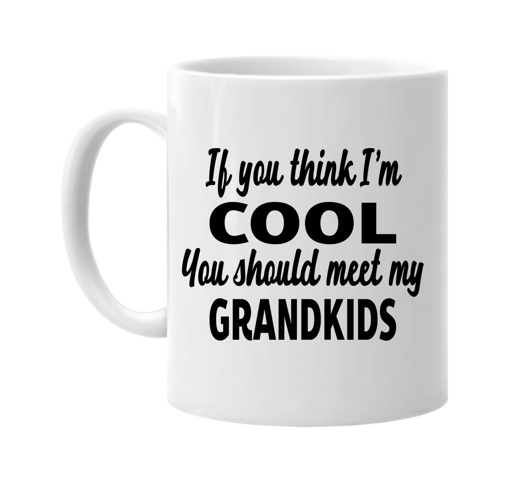 you think im cool meet my grandkids signature outlet novelty coffee cup mug graphic gift ideas gifts for the family mom dad