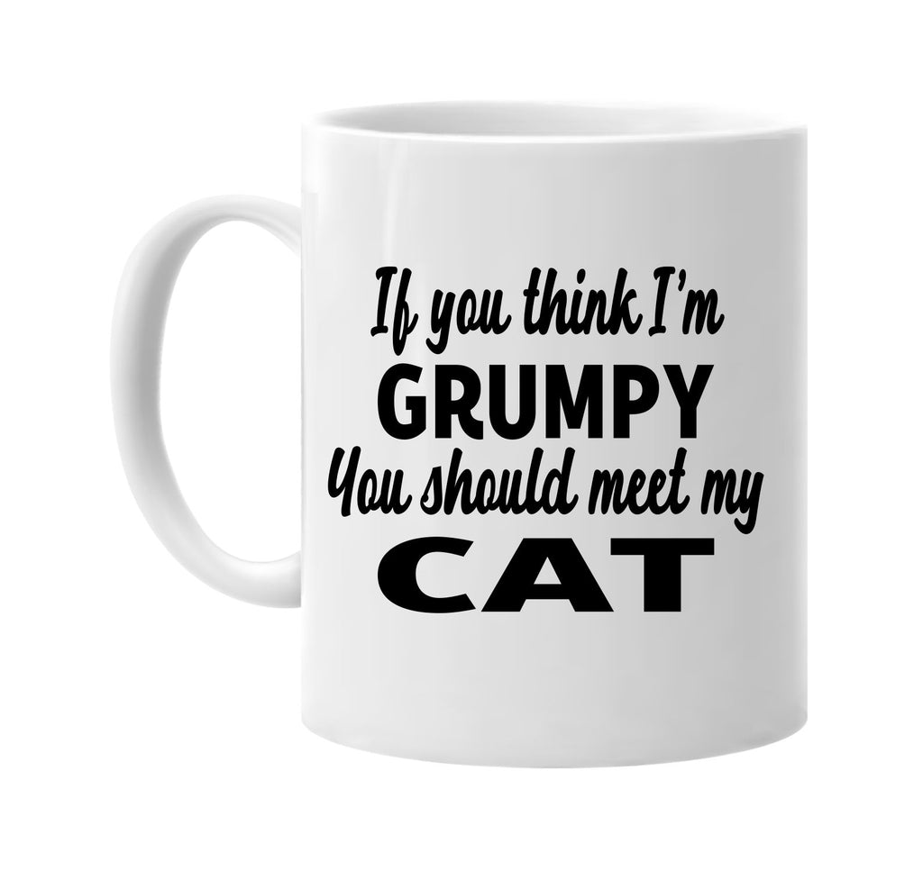 if you think im grumpy you should meet my cat signature outlet novelty coffee cup mug graphic gift ideas gifts for the family mom dad