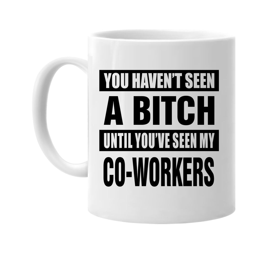 havent seen a bitch my co-workers signature outlet novelty coffee cup mug graphic gift ideas gifts for the family mom dad