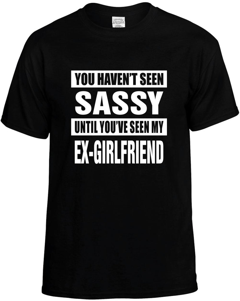 havent seen sassy my ex-girlfriend mens funny t-shirt black