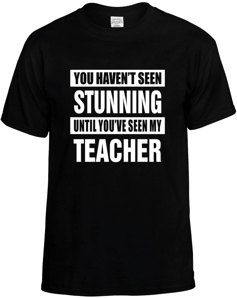 havent seen stunning my teacher mens funny t-shirt black