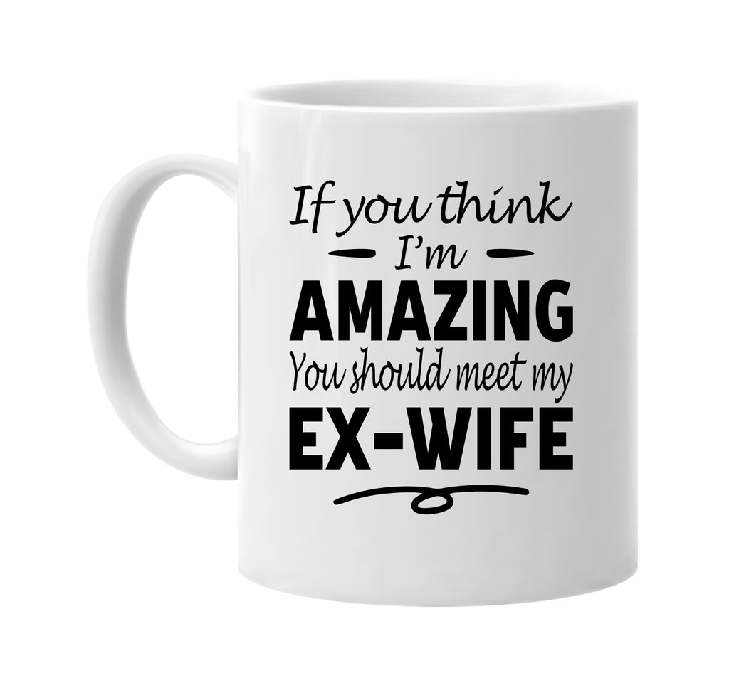 If You Think I'm Amazing, Meet My Ex-Wife mug