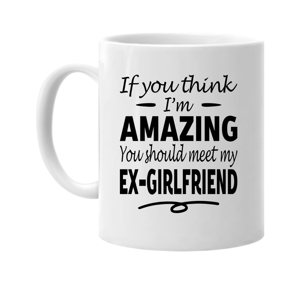 Think I'm Amazing, Meet My Ex-Girlfriend mug