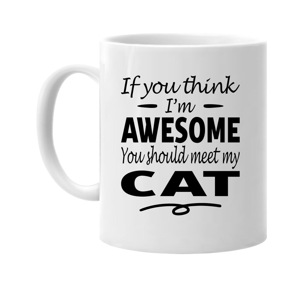 Think I'm Awesome, You Should Meet My Cat mug