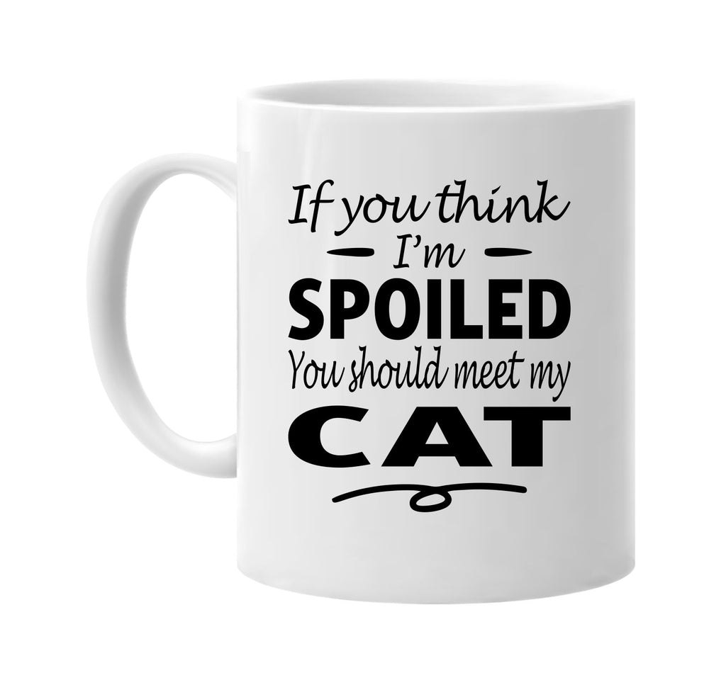 Think I'm Spoiled, You Should Meet My Cat mug